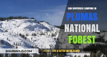 Dispersed Camping in Plumas National Forest: Tips, Rules, and Best Spots