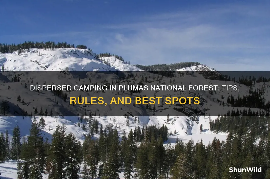 can dispersed camping in plumas national forest