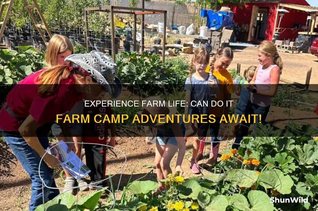 can do it farm camp