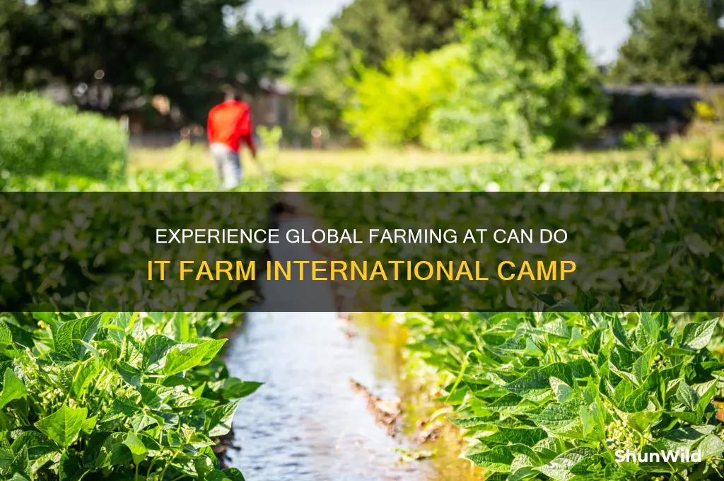 can do it farm international camp