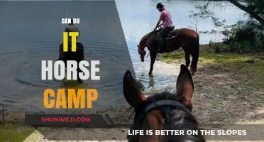 Can Do It Horse Camp: Empowering Riders Through Adventure and Learning