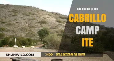 Can Dogs Camp at Leo Carrillo? A Guide for Pet Owners