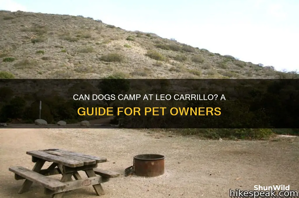 can dog co to leo cabrillo camp ite