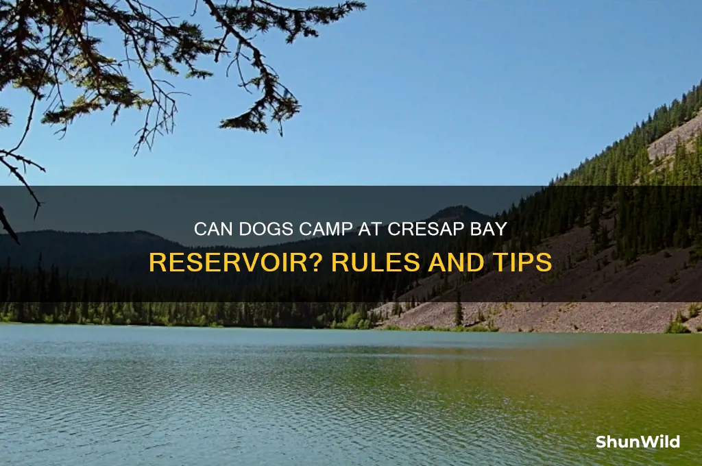 can dogs camp at cresap bay resevoir