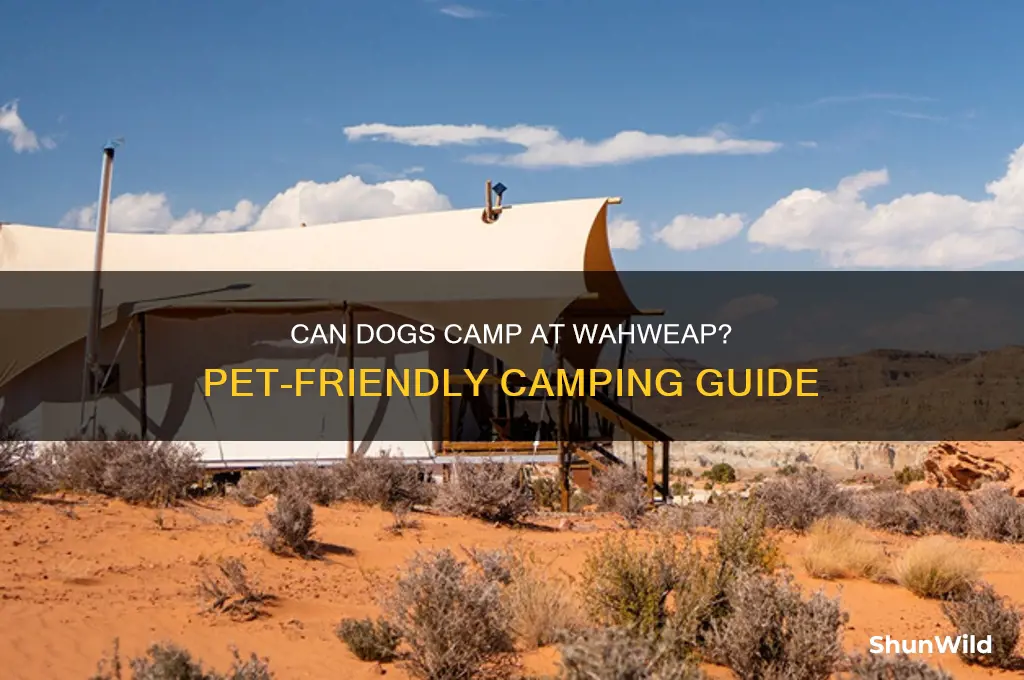 can dogs camp at wahweap