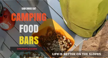 Can Dogs Safely Eat Camping Food Bars? Expert Advice Revealed