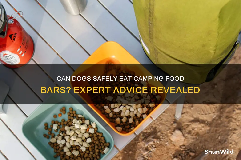 can dogs eat camping food bars