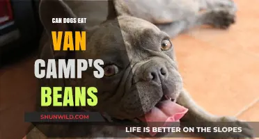 Can Dogs Safely Eat Van Camp's Beans? A Pet Owner's Guide