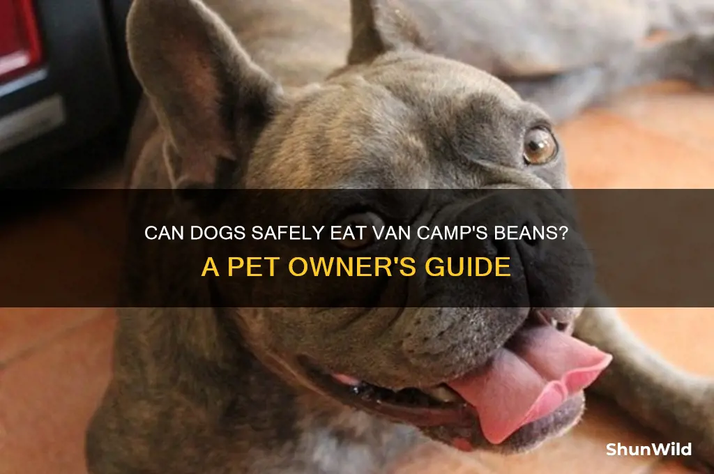 can dogs eat van camp