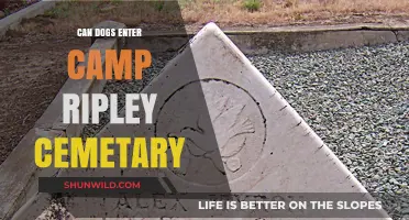 Can Dogs Visit Camp Ripley Cemetery? Rules and Guidelines Explained