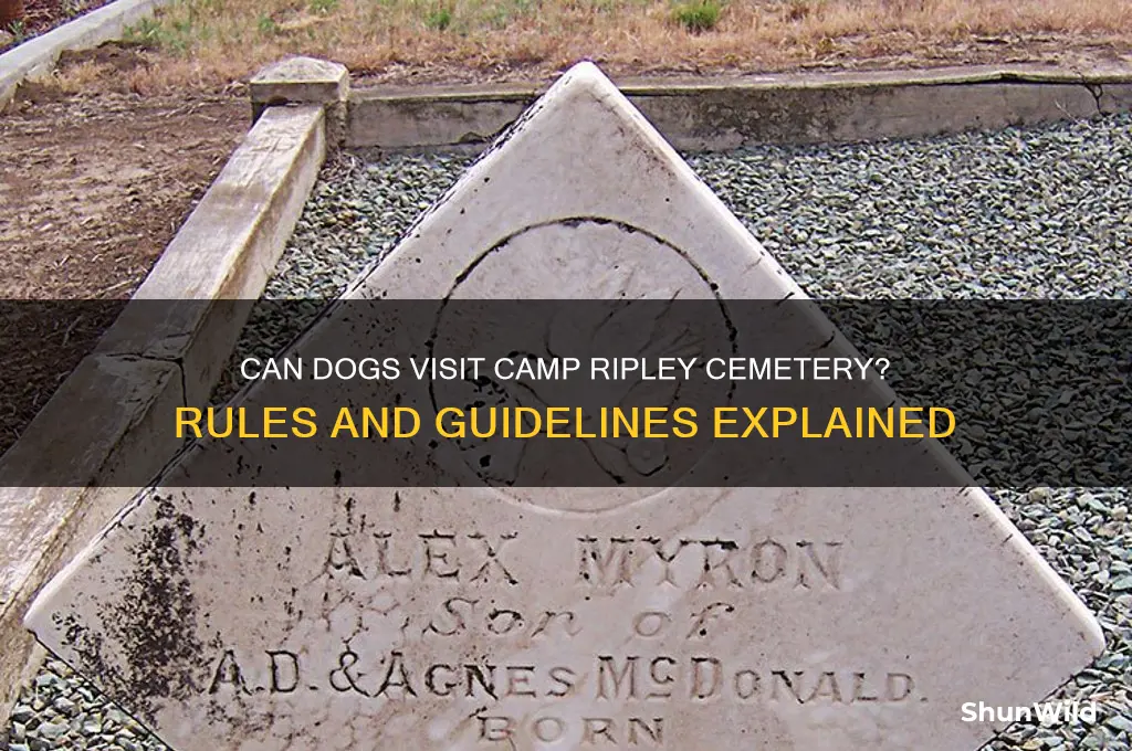 can dogs enter camp ripley cemetary