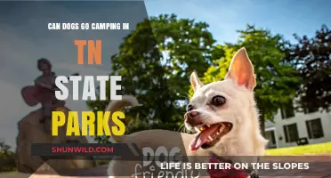 Camping with Dogs in Tennessee State Parks: Rules and Tips
