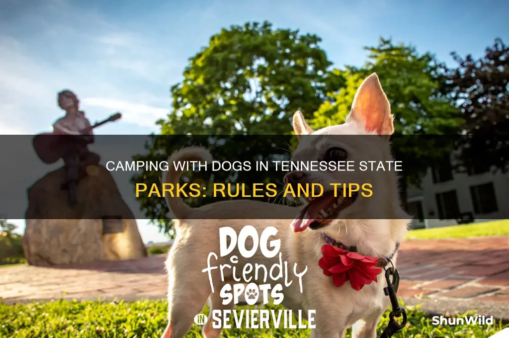 can dogs go camping in tn state parks