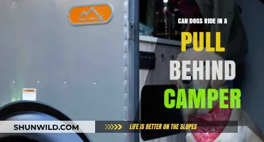 Can Dogs Safely Ride in a Pull-Behind Camper? Tips and Advice