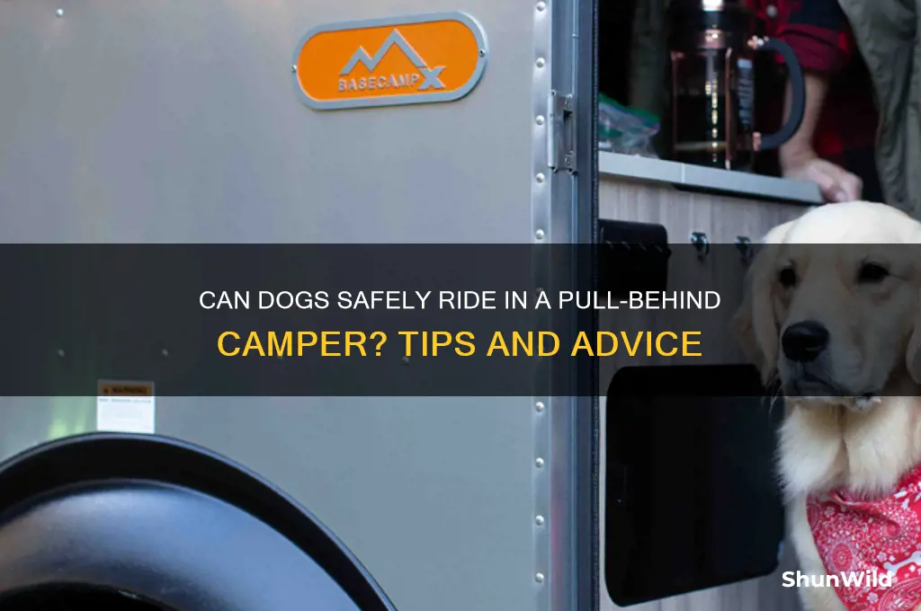 can dogs ride in a pull behind camper