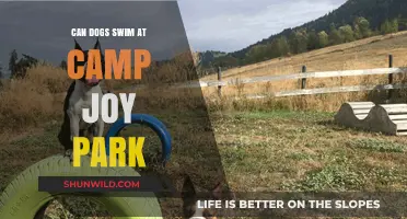 Can Dogs Swim at Camp Joy Park? A Complete Guide