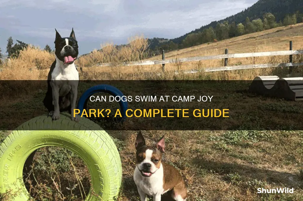 can dogs swim at camp joy park