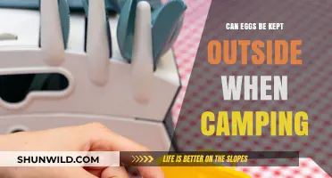 Camping Egg Storage: Safe to Keep Eggs Outside?