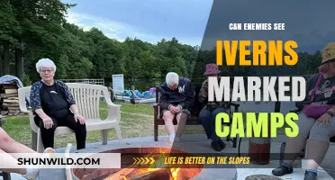 Do Ivern's Marked Camps Appear Visible to Enemy Champions in League?