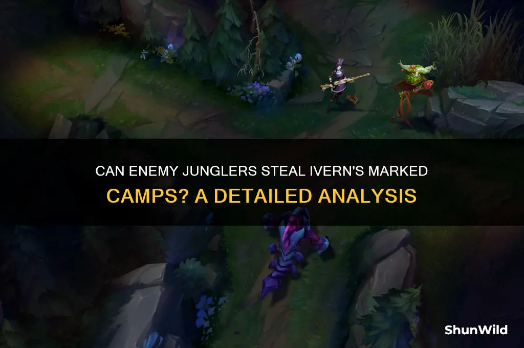 can enemy junglers kill iverns marked camps
