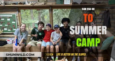 Can ESA Accompany Kids to Summer Camp? Legal Insights and Tips