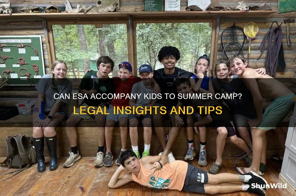 can esa go to summer camp
