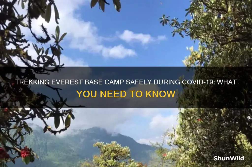 can everest base camp trek be done during covid-19