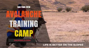 Avalanche Training Camp: Fan Access and Viewing Opportunities Explained