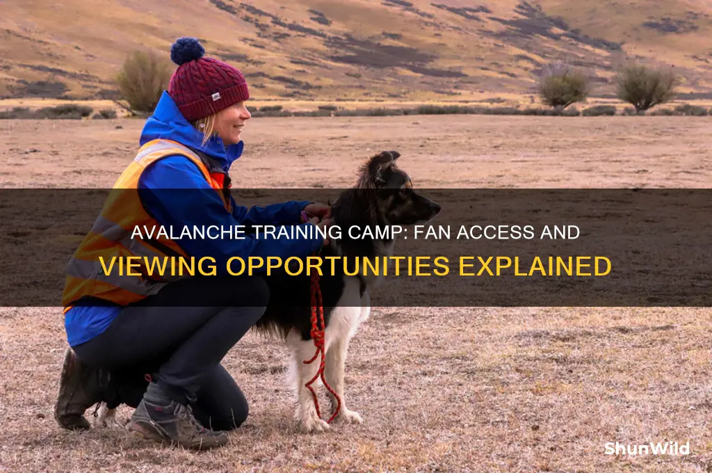 can fans view avalanche training camp