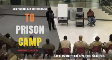 Can Federal Sex Offenders Serve Time in Prison Camps?