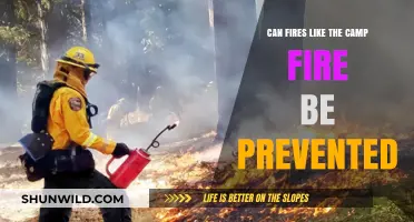 Preventing Devastating Wildfires: Lessons from the Camp Fire Tragedy