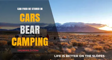 Storing Food in Your Car While Bear Camping: Safe or Risky?