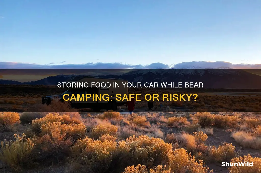 can food be stored in cars bear camping
