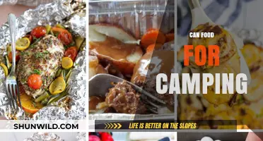 Best Camping Food Ideas: Easy, Nutritious, and Portable Meal Options