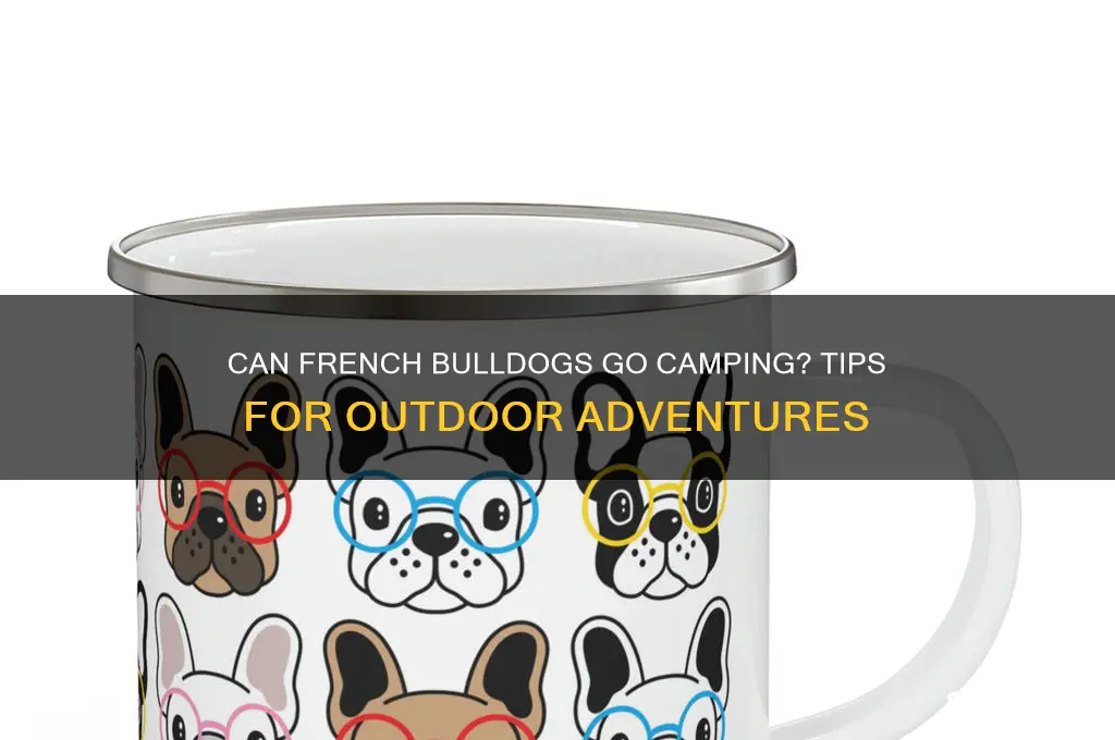 can french bulldogs go camping