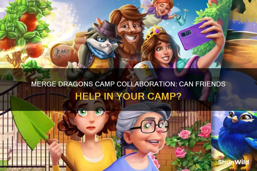 can friends do stuff in your camp in merge dragons