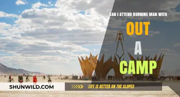 Solo at Burning Man: Attending Without a Camp – Is It Possible?