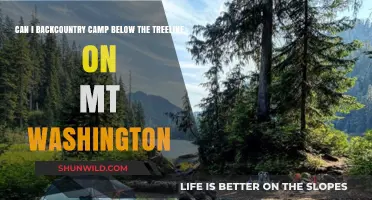 Backcountry Camping Below Treeline on Mt. Washington: Rules & Tips