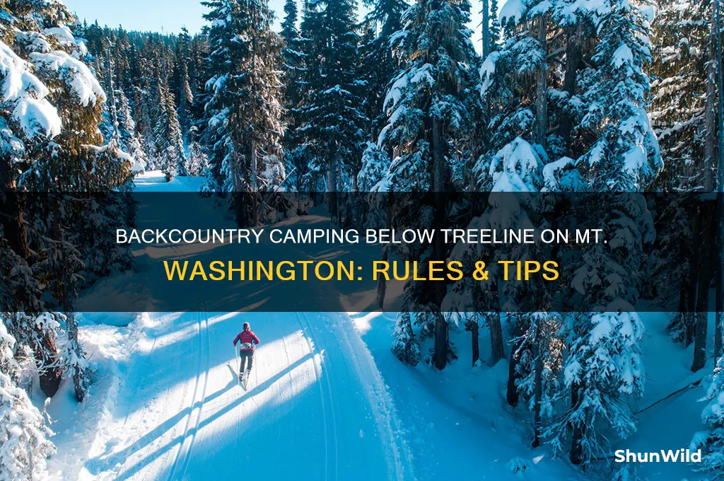 can i backcountry camp below the treeline on mt washington