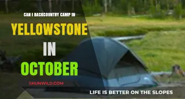 October Backcountry Camping in Yellowstone: Tips, Rules, and What to Expect