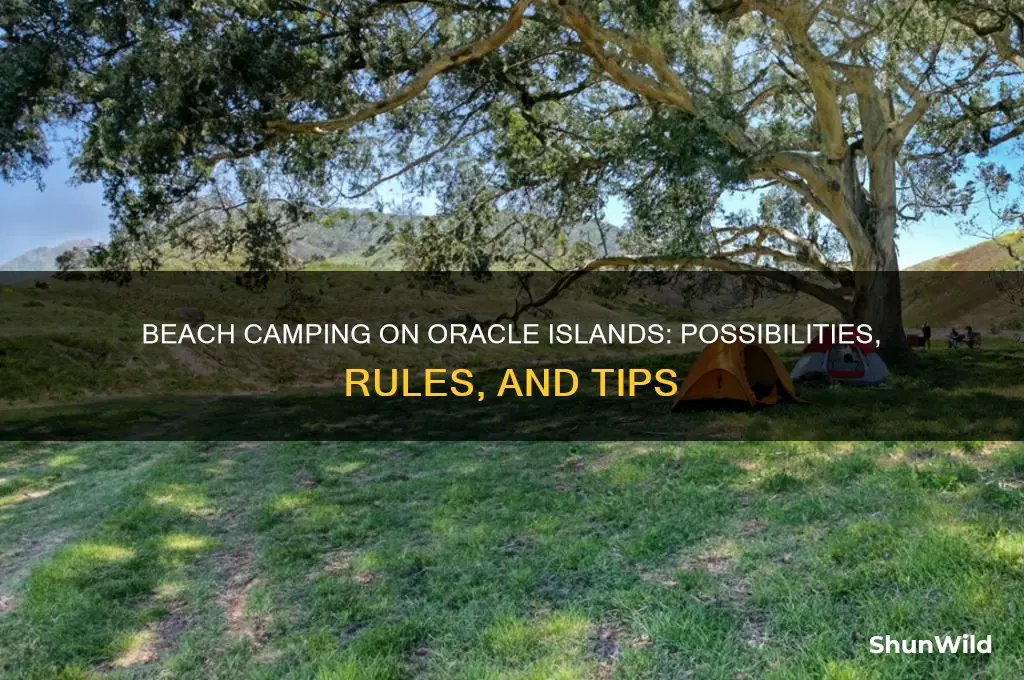 can i beach camp at oracle islands