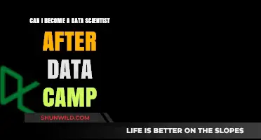 Can DataCamp Bootcamp Launch Your Data Science Career Successfully?