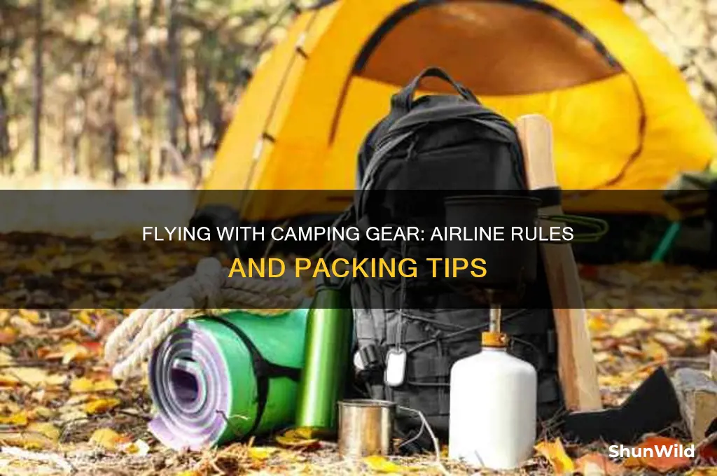 can i bring camping gear on a plane