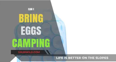 Can You Bring Eggs Camping? Tips for Safe Outdoor Storage