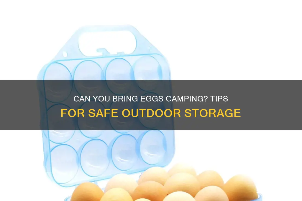 can i bring eggs camping