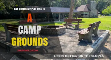 Bringing Your Pit Bull to Campgrounds: Rules, Tips, and Etiquette