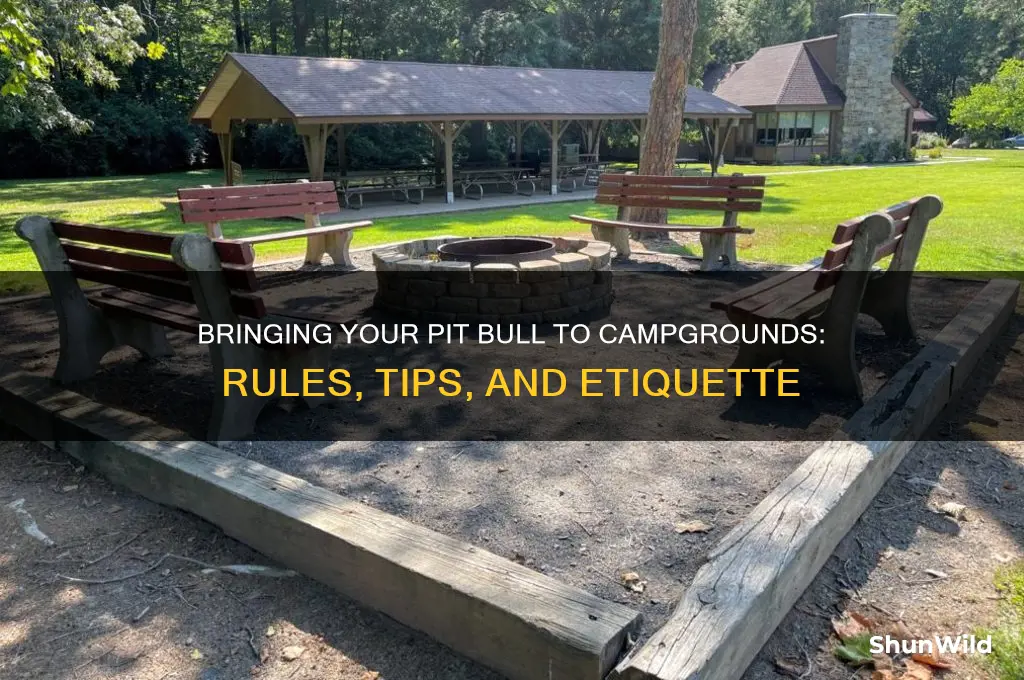 can i bring my pltt bull to a camp grounds