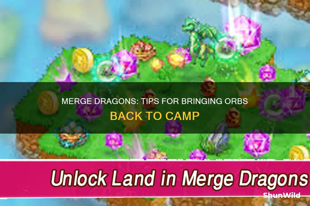 can i bring orbs back to camp in merge dragon