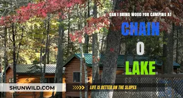 Camping at Chain O'Lakes: Can You Bring Wood? Rules Explained