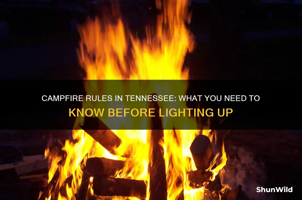 can i build a fire camping in tn